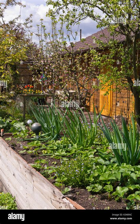 Allotment Raised Beds Hi Res Stock Photography And Images Alamy