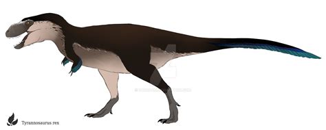 T Rex By Zavraan On Deviantart