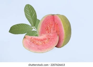 10,980 Pink Guava Fruit Images, Stock Photos & Vectors | Shutterstock