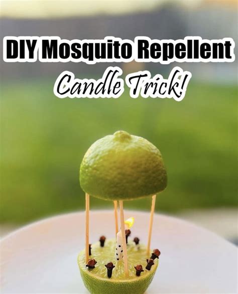 13 Best Homemade Mosquito Repellents Artofit