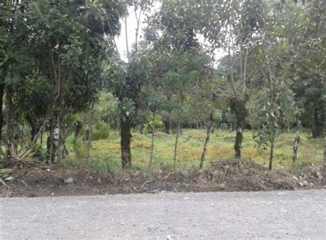 Terreno en Venta en Peñas Blancas Alajuela 14 000 000 TEV82858