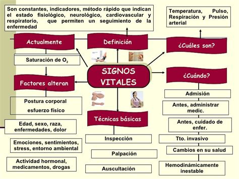 Mapa Mental De Signos Vitales Slingo