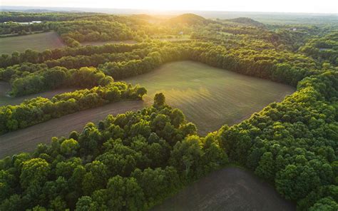 Wallpaper Nature landscape, top view, trees, green fields 1920x1200 ...