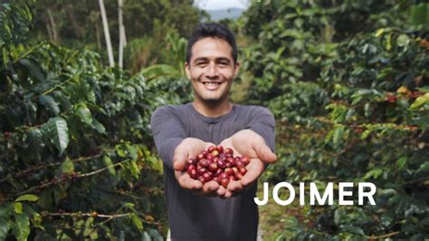 Campaña Busca Apoyar A Caficultores Amigables Con El Bosque