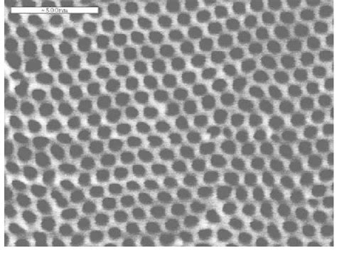 Fe Sem Image Of Porous Alumina Film With Ordered Pore Structure Formed