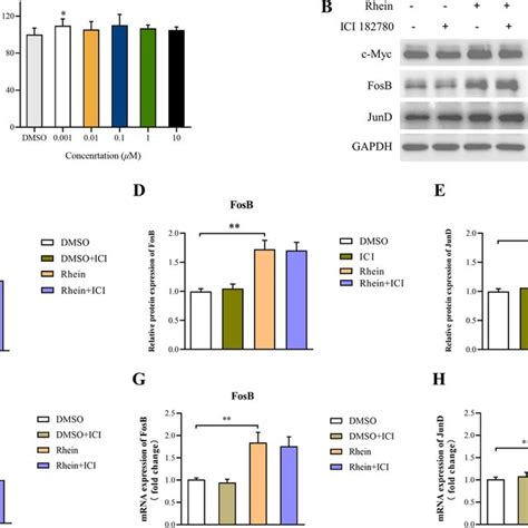 Effects Of Rhein On Estrogen Signaling Pathway And C Myc Expression In