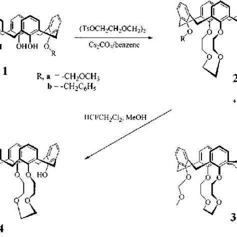 Synthesis Of Calix 6 Arene Bis Crown 4 Download Scientific Diagram