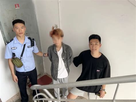 厉害！6小时侦破车内财物被盗案 顺昌新闻 新顺昌