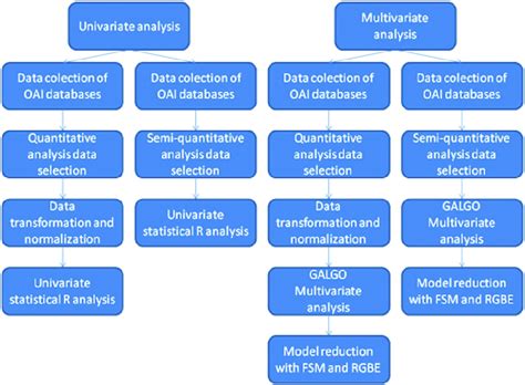 Data Analysis Scheme Download Scientific Diagram