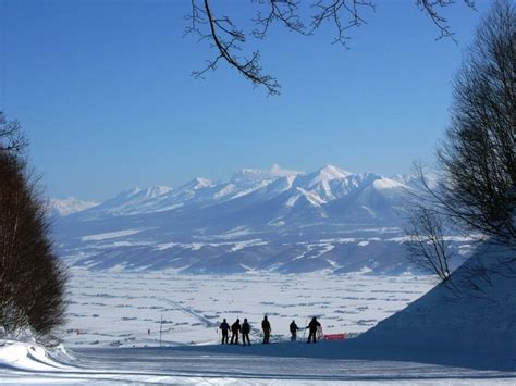 冬の富良野を遊び尽くそう！旅行好きが選ぶおすすめ観光スポット4選 Wamazing Snow（ワメイジングスノー）