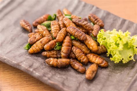 Fried Insects Crunchy Critters