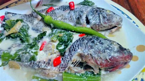 Paksiw Na Tilapia Sa Gata Mama S Guide Recipes Artofit