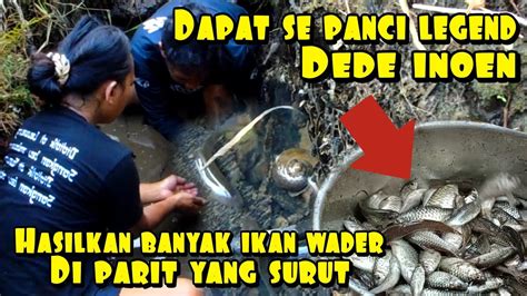 Panen Ikan Wader Di Parit Yang Surut Hasilkan Satu Panci Legend Dede