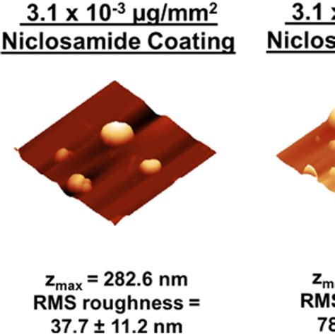 Niclosamide Coating Morphology Measured By Atomic Force Microscopy