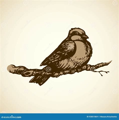 Vector Drawing Tits Sparrows And Bullfinches On Branches Stock Vector