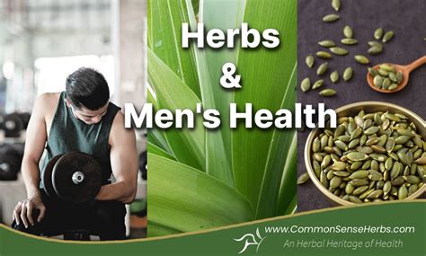 Herbs And Mens Health Common Sense Products