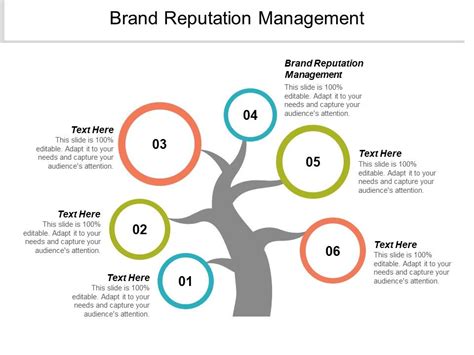 Brand Reputation Management Ppt Powerpoint Presentation Professional