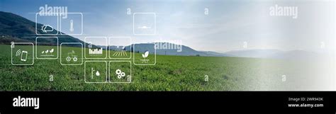 New Technology Agriculture Management For Smart Farm System Green