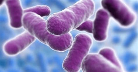 Titanium Micro Spikes Tackle Superbug Threat Medtigo