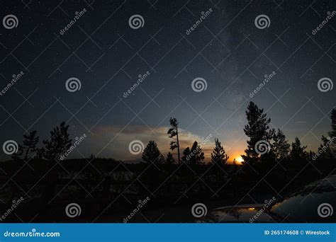 Mesmerizing Sunset View With Silhouette Of Trees Under Starry Sky Stock