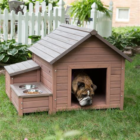 Outdoor Dog Houses For 2 Dogs at Alan Holliday blog