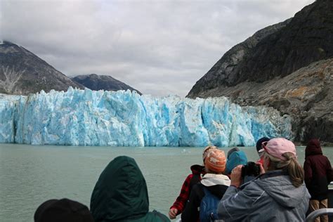 Tracy Arm Fjord Glacier Explorer Excursion Tammilee Tips