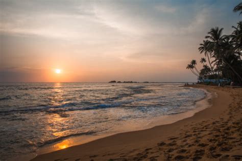 Ultimate Sri Lanka Bucket List Epic Experiences Laure Wanders