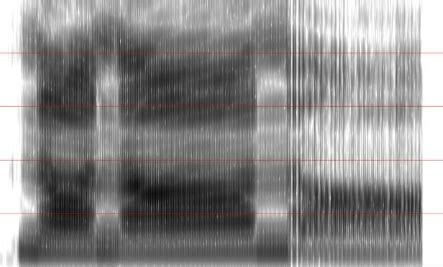 Spectrogram of /na/ sequence with glottalized final syllable ...