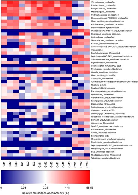 Heatmap Of Relative Abundance Of Community At Specie Level Different Download Scientific