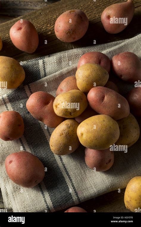 Starch Potatoes Hi Res Stock Photography And Images Alamy