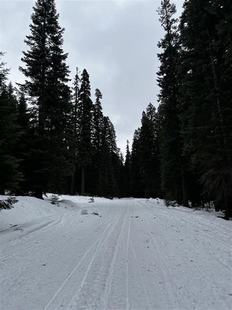 Canmore, Alberta : r/winterporn