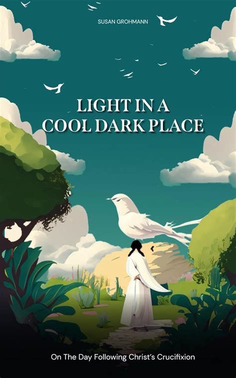 Light In A Cool Dark Place Grohmann Susan 9781962274029