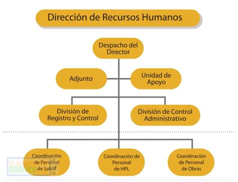 Organizacion Organigrama Recursos Humanos Imagen Png Imagen Images Sexiz Pix