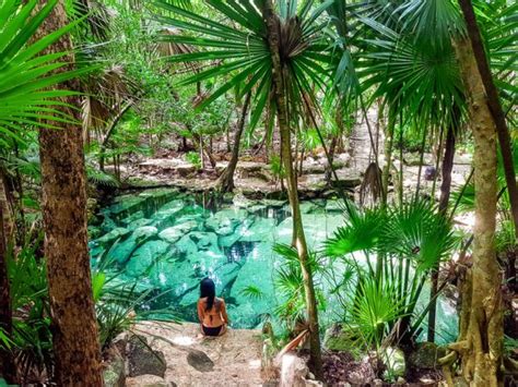 Best Cenotes In Riviera Maya You Must Visit In