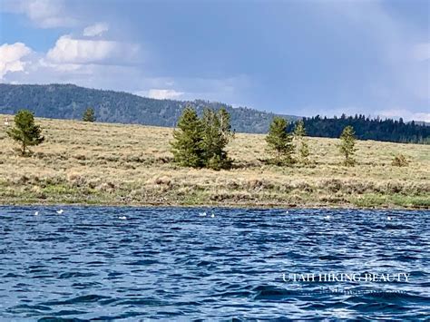 Fish Lake - Utah Hiking Beauty