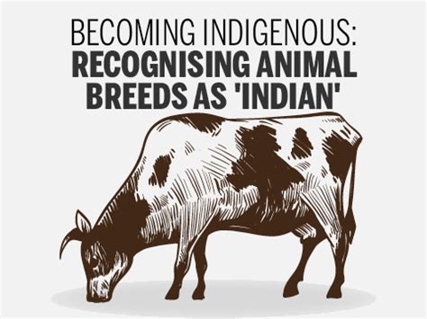 Infographic: Indian 'citizenship' for several domesticated animal ...