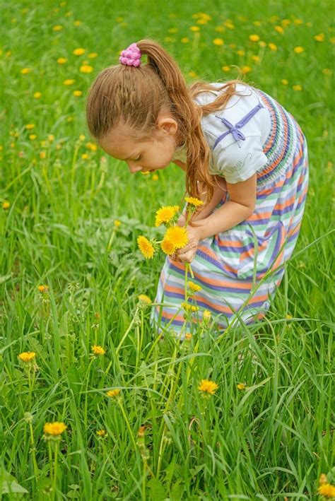 Little Girl Picking Flowers Stock Photo Image Of Children Hair 33113350