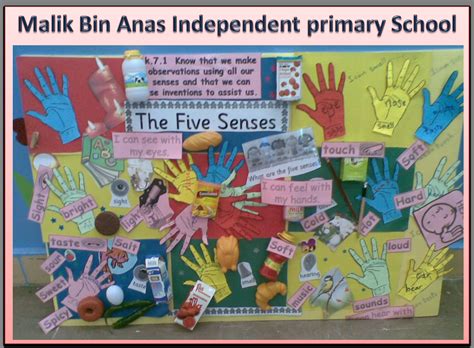 The Five Senses Classroom Display Photo Sparklebox