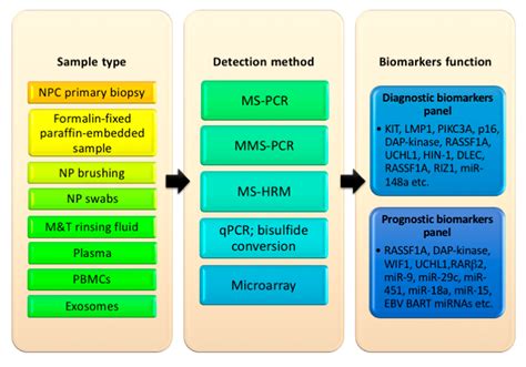 Diagnostics Free Full Text Diagnostic And Prognostic Indications Of