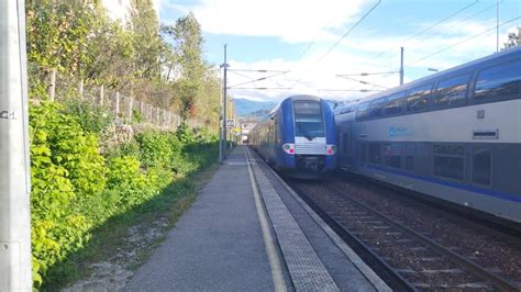 GPF N161 Trains En Gare De Grenoble Beaucoup De TER Et CORAIL Et Un