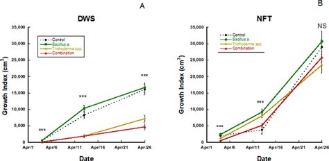 Frontiers Impacts Of Bacillus Amyloliquefaciens And Trichoderma Spp