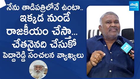 Kethireddy Pedda Reddy Sensational Comments On Jc Prabhakar Reddy