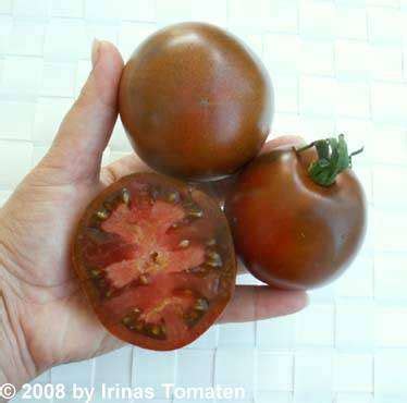 Violette Fleischtomate Tomaten Samen Dunkel Tomaten Samen Irinas