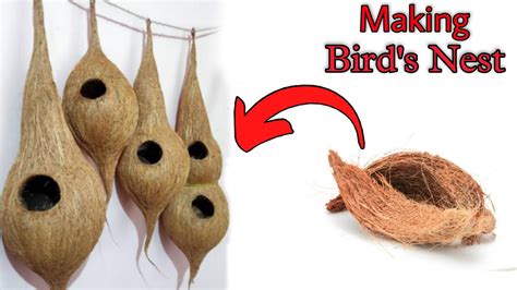 Making A Bird S Nest From Waste Material Coconut Husk Craft Ideas