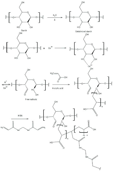 Mechanism Of The Crosslinking Reaction Of Starch And Acrylic Acid