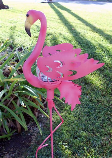 Flamingo garden Flamingo Garden, Fancy Flamingo, Flamingo Decor, Lawn ...