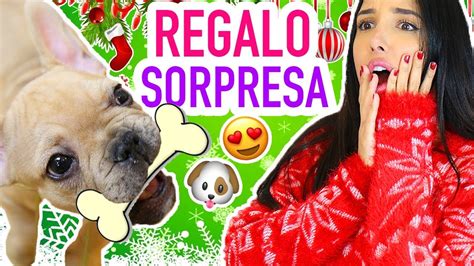 La Mejor Sorpresa 🎁 Nuevo Integrante De La Familia 🐶 No Lo Vas A