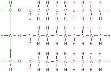 This is a monomer of a lipid. | Macromolecules, Molecular biology, Molecular