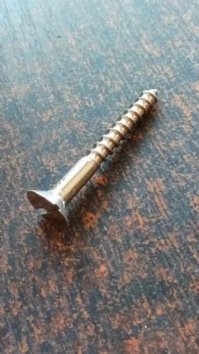 Stainless Steel Ss Wood Screw For Fixing Boxes At Rs 80 Pack In Jammu