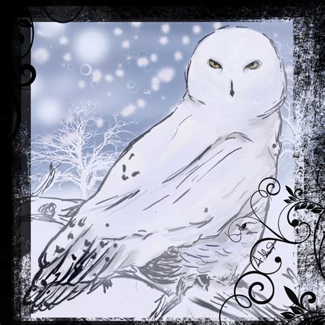 Snowy Owl by CitricLily on DeviantArt